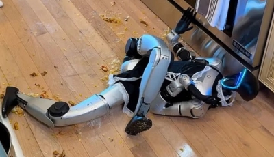 1억 넘게 주고 샀는데…中 로봇, 요리하다 '꽈당' 처참