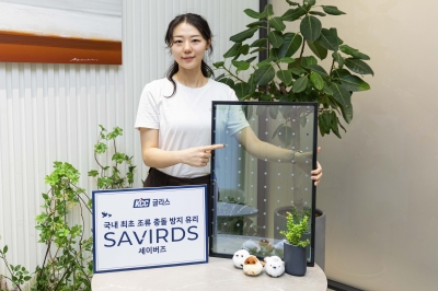 새 충돌 막아주는 유리 나왔다