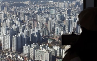 "10·15 대책 강력하네"…서울 아파트 거래량 80% 급감