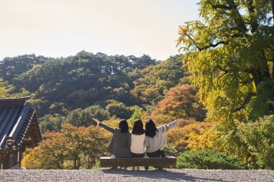 "지금이 마지막 기회"…국내 여행 '바가지 논란'에 '초비상' [트래블톡]