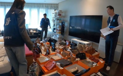 강남 '고액 체납자' 집 털자…'14억' 돈뭉치·명품백 나왔다