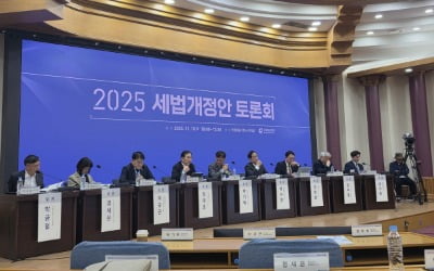 "아마존·테슬라도 현금배당 한 적 없어"…배당소득 분리과세에 쏟아진 비판들