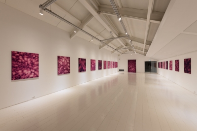 작은 흔적, 깊은 이야기, 그리고 예술의 일부가 된 나