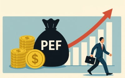 [PEF 오해와 진실] 20년 PEF의 힘…투자기업 성장률 4배 높았다