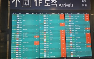 수능 영어듣기 25분 탓에…인천공항 241편 멈췄다 '승객 분통'