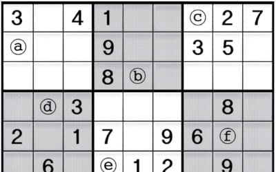 [수학 두뇌를 키워라] 스도쿠 여행 (919)