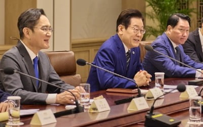 李 대통령-기업 총수 "자주 만나자"…정기 회동도 검토