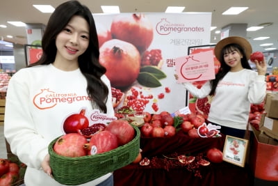 [포토] 겨울 시작을 알리는 미국 캘리포니아 석류 출시