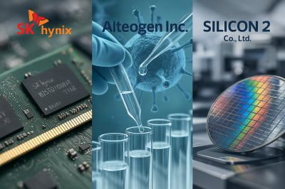 [마켓PRO] “떨어져도 산다”…고수들, ‘AI 거품론’에도 하이닉스 집중 매수