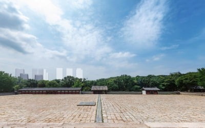 서울시, 세운지구 시뮬레이션 사진 공개…"숨 막힐 경관 아니야"