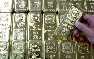 수익률 뚝뚝 떨어지는데…"언젠간 오른다" 개미들 '우르르'