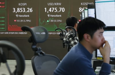 AI 거품론에 코스피 '휘청'…"추가 조정 가능성은 낮아" [주간전망]