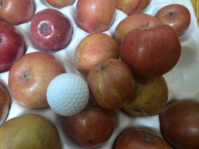 "저 같은 피해자가 없었으면"…금사과 싸다고 샀다가 '분노'