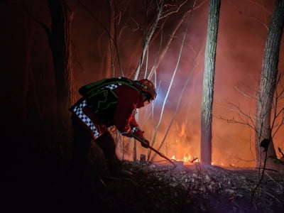 양양 서면 산불 진화율 55%…헬기 25대 투입 총력전