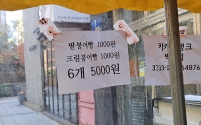 "1개 1000원 비싸다고? 남는 게 없어요"…붕어빵 상인 '눈물' [이슈+]