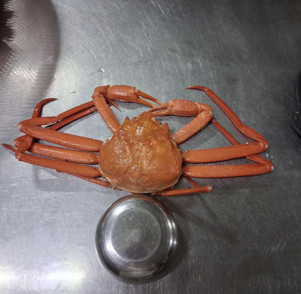 "아직 정신 못 차렸나"…속초서 이번엔 '홍게 사기'