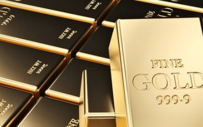 美 셧다운 종료에 금시세 웃었다…4200달러 선 회복