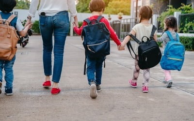 유치원 근처는 불법, 어린이집은 합법?…담배판매업 기준 뭐길래