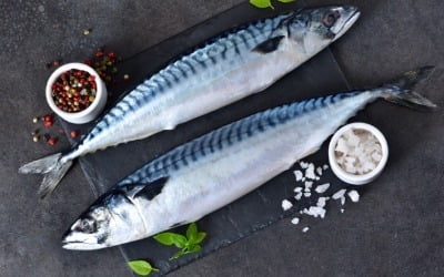 집 나간 '국민 생선', 알고 보니…"중국이 몽땅 쓸어 갔어요" [프라이스&]