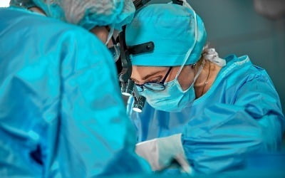 '유전자 편집' 돼지 신장, 인간에 이식…정식 임상시험 'FDA 첫 승인'