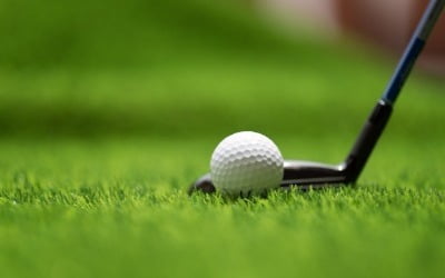 골프 연습 중 튕겨나온 공에 맞아 '실명', 책임은 누가?