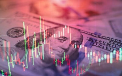 치솟는 환율 어디로…"美 9월 고용지표 이후 하락 가능성"