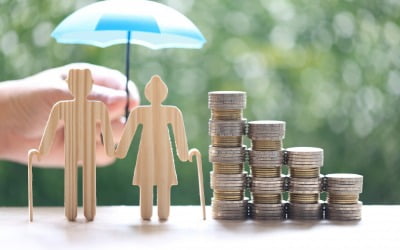 돈 싸들고 어디 갔나 했더니…고수들의 연금 투자 비결