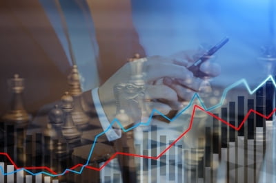 "싸게 살 기회 왔다는데"…코스피 빠질 때 조용히 웃는 종목 [한경우의 케이스스터디]