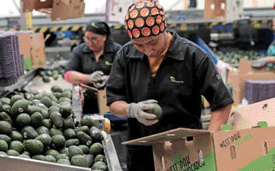 코로나 때 잘나가던 이 기술…"돈 안된다" 미국선 찬밥 신세