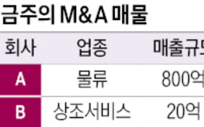 매출 800억 물류 서비스 기업 매물로