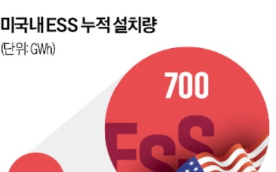 美 배터리 시장 양극화…전기차용 침체, ESS는 고공행진