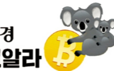 암호화폐 투자 뉴스레터 '코알라' 무료 구독하세요