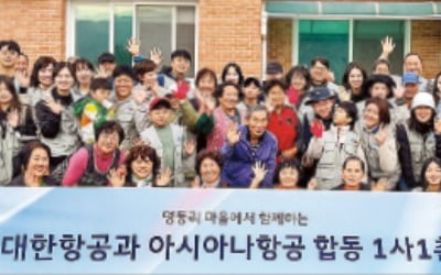 대한항공, 강원 홍천서 '1사1촌' 봉사