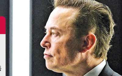 "보상안 부결땐 머스크 떠날 수도"…테슬라 주가 '출렁'