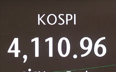 [경제학 원론 산책] 선진국은 자본시장, 신흥국은 은행의 역할 크죠