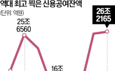 '빚투' 26조 사상최대…주도주에 쏠렸다