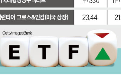 AI·조방원 주도주 흔들리자…'급락 직격탄' 맞은 신상 ETF