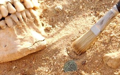 [과학과 놀자] 장티푸스가 나폴레옹 군대 패퇴시켰다