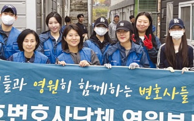 "서면 작성에 지친 한 주, 유기견과 함께하니 피로가 싹"