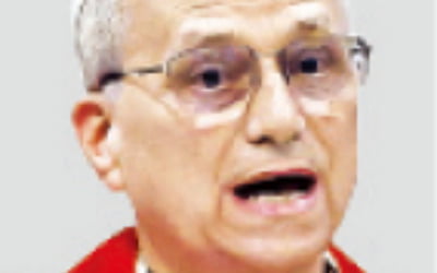 교황 "정의 없이는 평화도 없어"