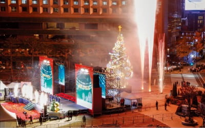 [포토] 서울광장 밝힌 성탄 트리