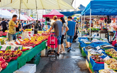 '바람'과 '사람'과 '꽃 그림자' [고두현의 아침 시편]