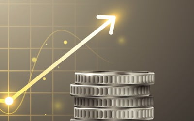 [경제학 원론 산책] 자금 수요자가 주식·채권같은 금융상품 공급하죠