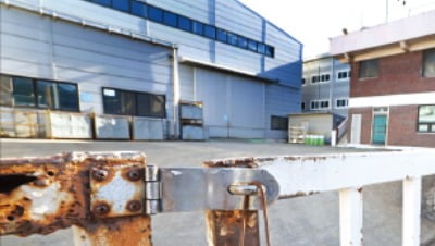 [임현우 기자의 키워드 시사경제] '좀비기업 퇴출' 더딘 탓에…GDP 0.5% 놓쳤다