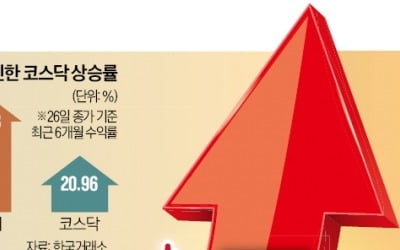 이번엔 코스닥 띄운다…개인에 稅당근, 연기금 등판, 모험자본 투입