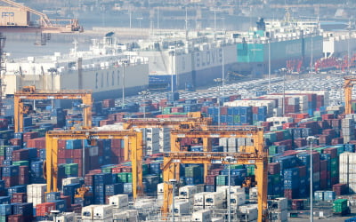 [수능에 나오는 경제·금융] 자국 산업 보호할 수 있지만 소비자 후생은 감소