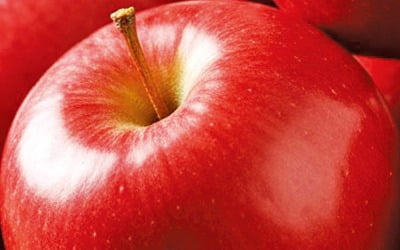 [과학과 놀자]  "나의 빨강이 곧 너의 빨강"…뇌 속의 '색깔 코드'