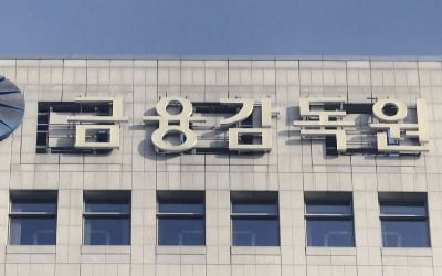 모험자본 공급 확대 앞두고…금감원, 증권사 리스크관리 재정비