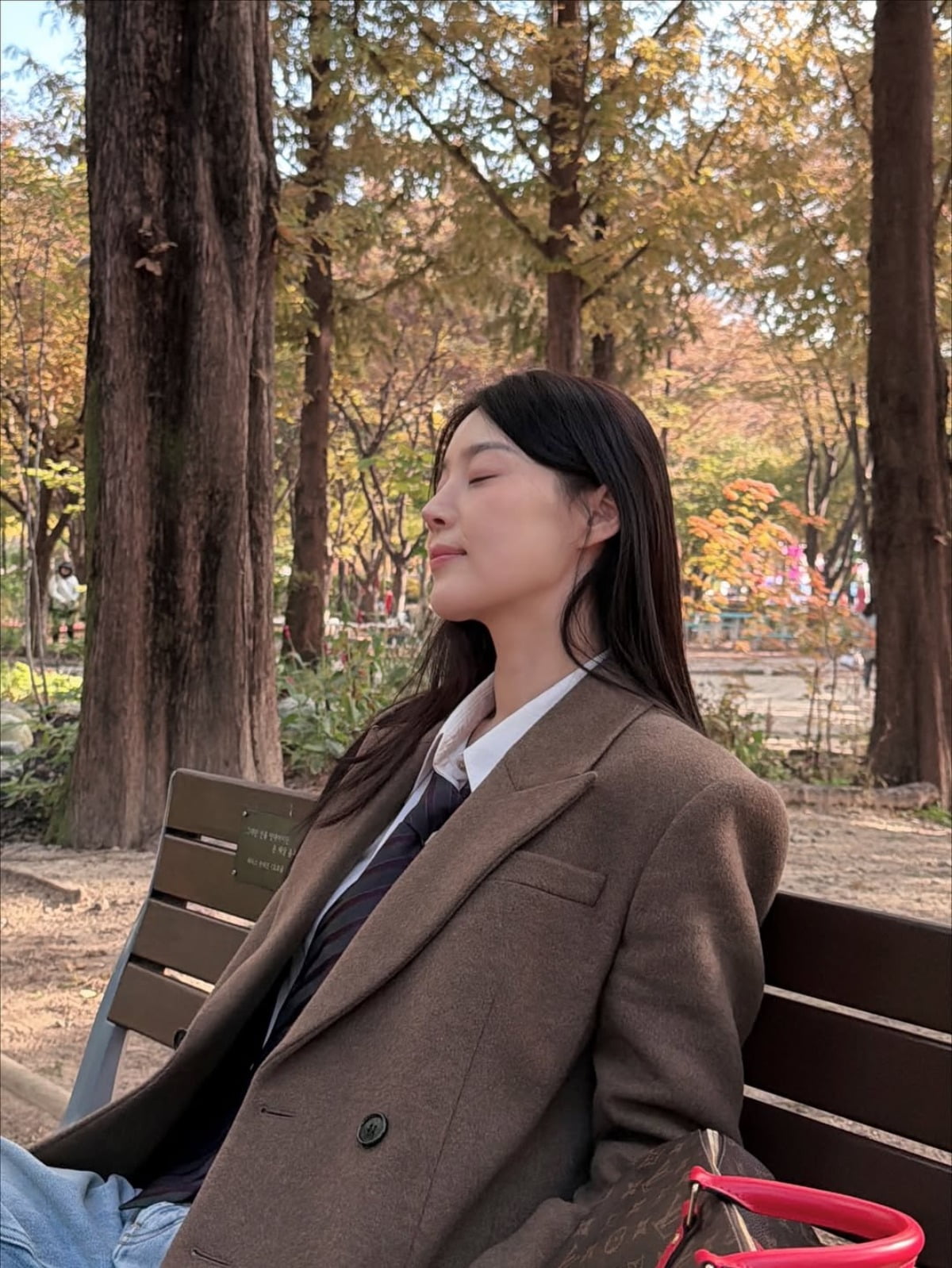 Actress Han Ji-hye Captivates with Autumn Goddess Vibes in Seoul Forest