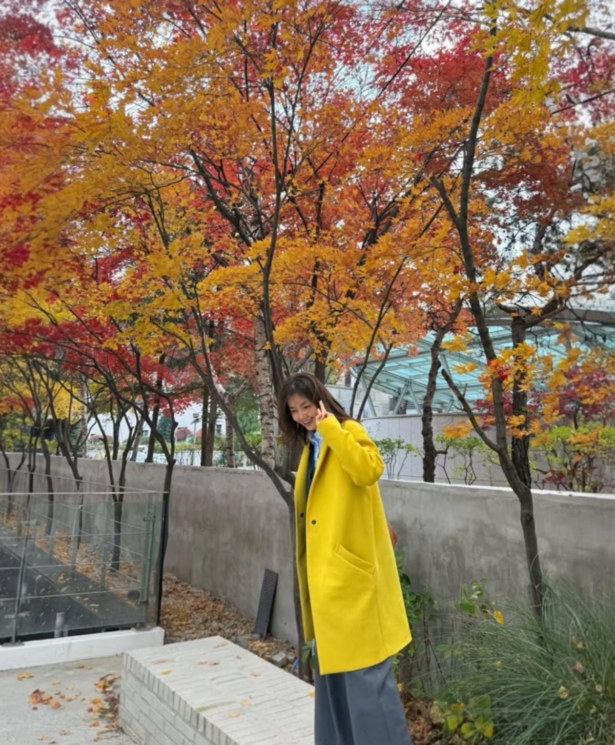 シン・エラ、年齢を感じさせない美貌を披露！秋の美しさを満喫